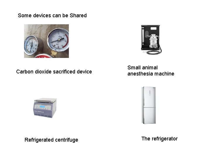 Some devices can be Shared Carbon dioxide sacrificed device Refrigerated centrifuge Small animal anesthesia