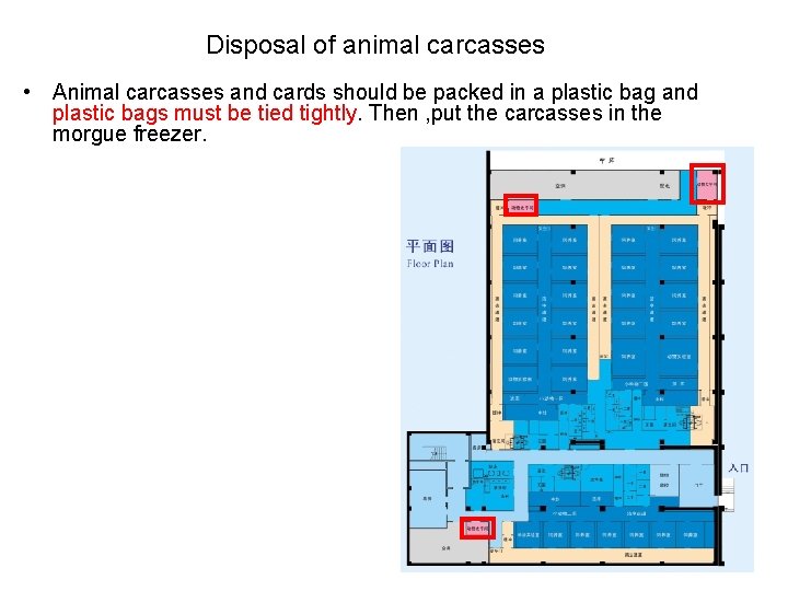 Disposal of animal carcasses • Animal carcasses and cards should be packed in a