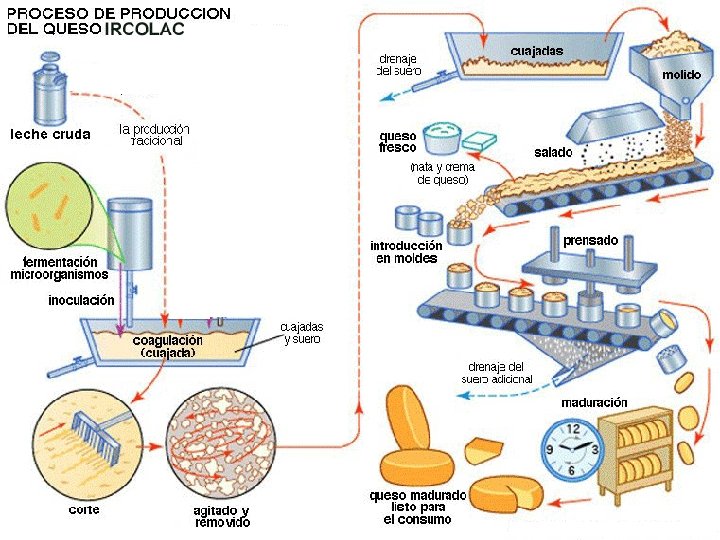 Proceso de elaboracion 