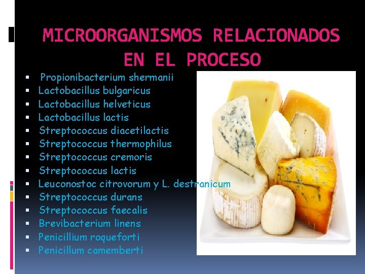 MICROORGANISMOS RELACIONADOS EN EL PROCESO Propionibacterium shermanii Lactobacillus bulgaricus Lactobacillus helveticus Lactobacillus lactis Streptococcus