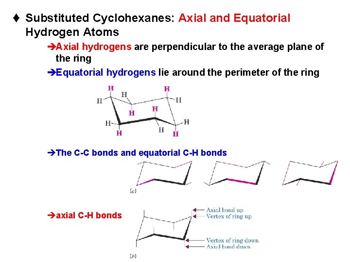 t Substituted Cyclohexanes: Axial and Equatorial Hydrogen Atoms èAxial hydrogens are perpendicular to the