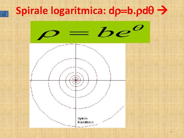 Spirale logaritmica: dr=b. rdq 11 