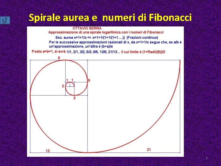 Spirale aurea e numeri di Fibonacci 7 