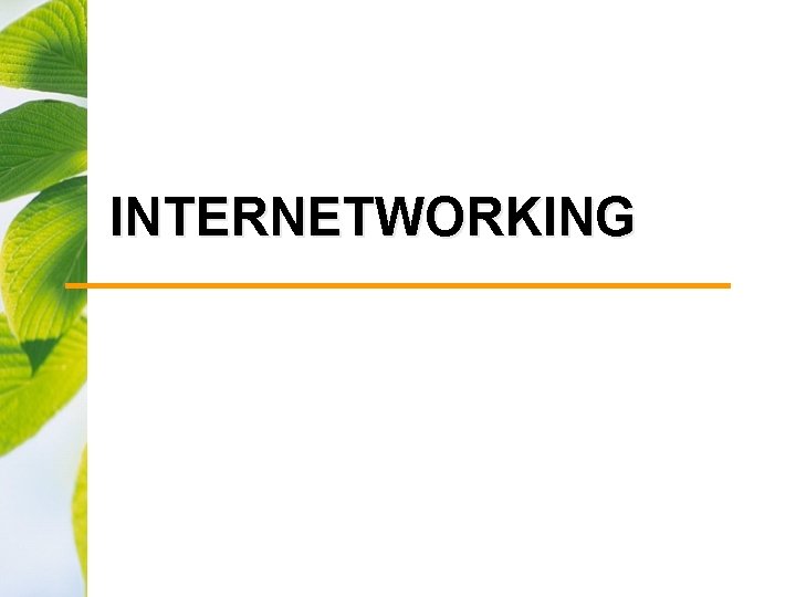 INTERNETWORKING 