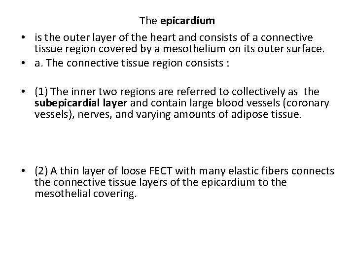 The epicardium • is the outer layer of the heart and consists of a