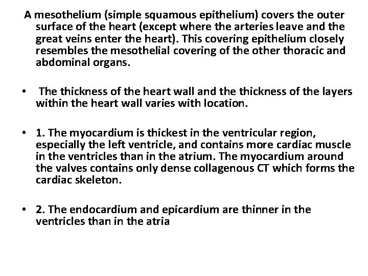 A mesothelium (simple squamous epithelium) covers the outer surface of the heart (except where