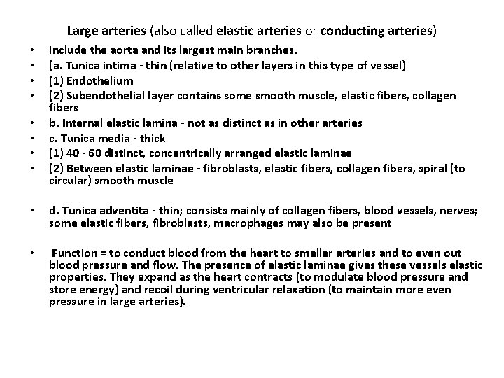 Large arteries (also called elastic arteries or conducting arteries) • • include the aorta