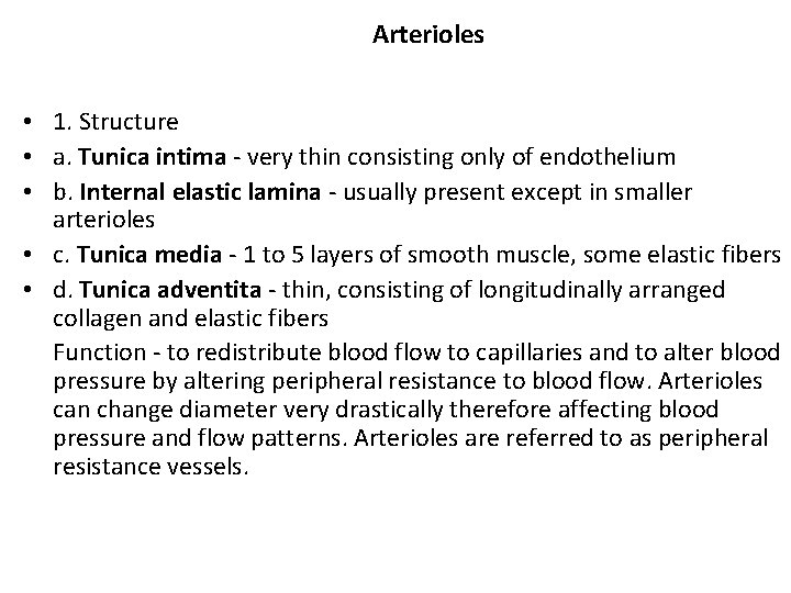 Arterioles • 1. Structure • a. Tunica intima - very thin consisting only of