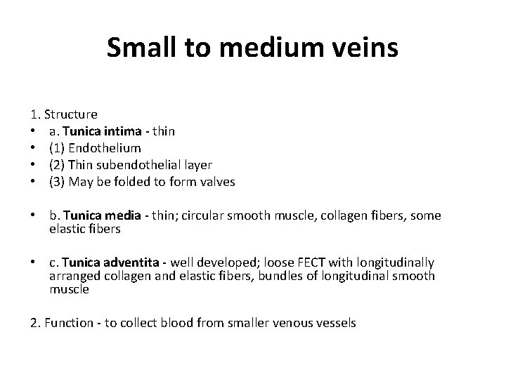 Small to medium veins 1. Structure • a. Tunica intima - thin • (1)