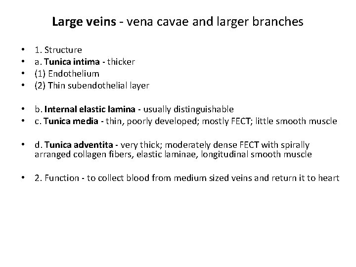 Large veins - vena cavae and larger branches • • 1. Structure a. Tunica