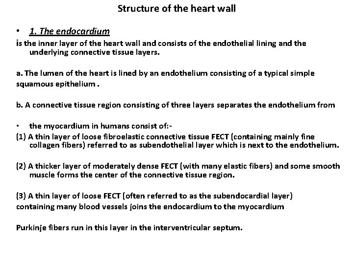 Structure of the heart wall • 1. The endocardium is the inner layer of