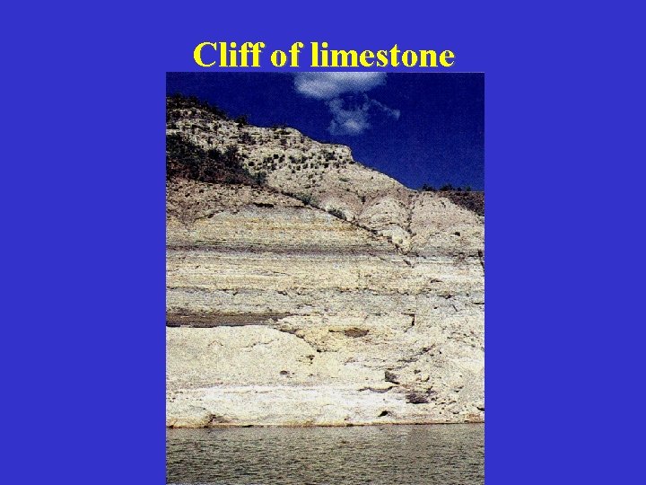 Cliff of limestone 