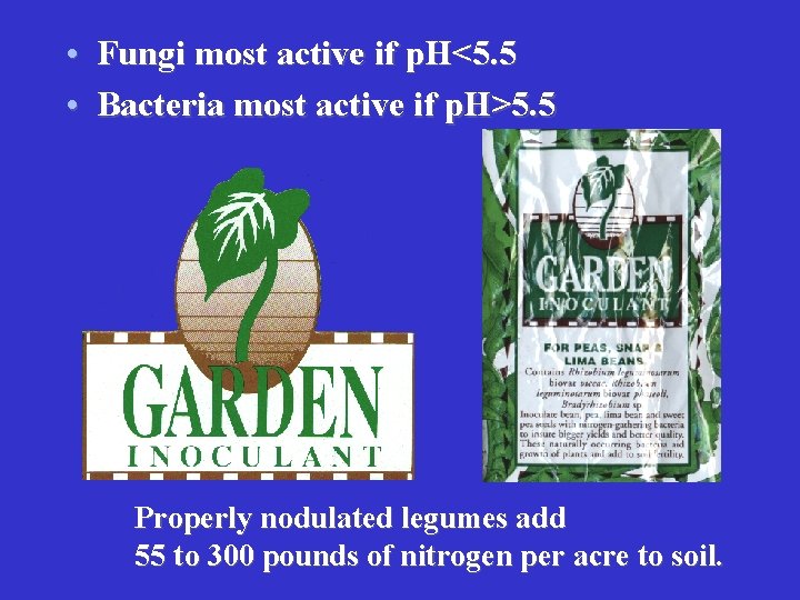  • Fungi most active if p. H<5. 5 • Bacteria most active if