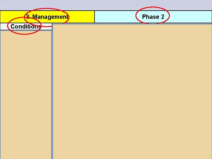 3. Management 1. 1. Conditions BIS Available Adequate staff to prepare for and analyse