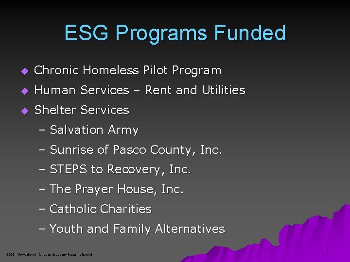 ESG Programs Funded u Chronic Homeless Pilot Program u Human Services – Rent and