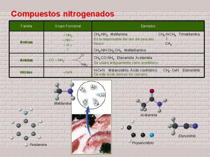 Compuestos nitrogenados Familia Grupo Funcional Aminas – NH 2 – NH – –N– |