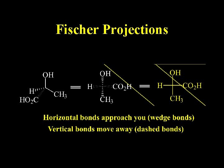 Fischer Projections 
