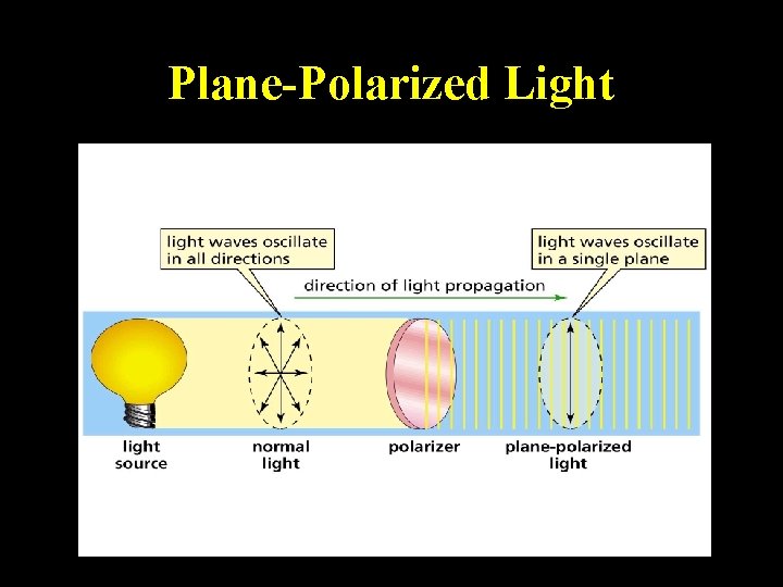 Plane-Polarized Light 