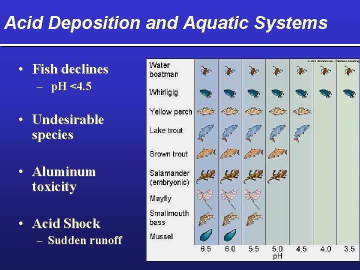 Acid Deposition and Aquatic Systems • Fish declines – p. H <4. 5 •