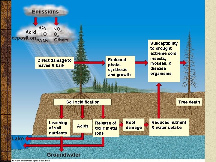 Emissions SO 2 Acid H O 2 2 deposition PANs NOx O 3 Others Emissions SO 2 Acid H O 2 2 deposition PANs NOx O 3 Others