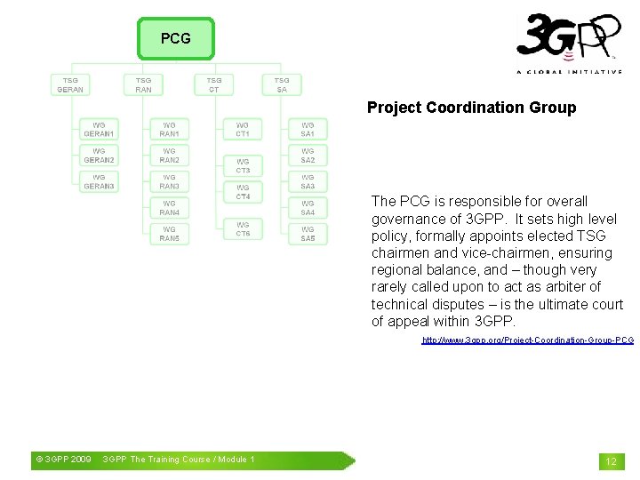 PCG Project Coordination Group The PCG is responsible for overall governance of 3 GPP.