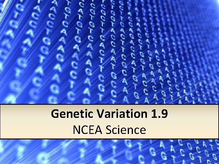 Genetic Variation 1. 9 NCEA Science 1 