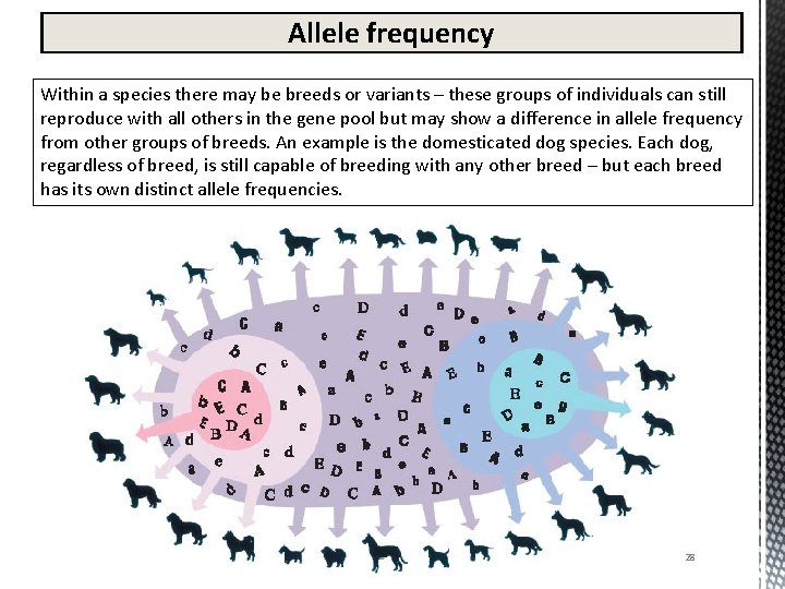 Allele frequency Within a species there may be breeds or variants – these groups