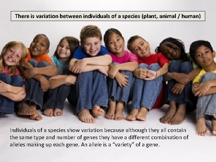 There is variation between individuals of a species (plant, animal / human) Individuals of