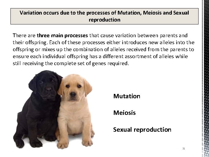 Variation occurs due to the processes of Mutation, Meiosis and Sexual reproduction There are