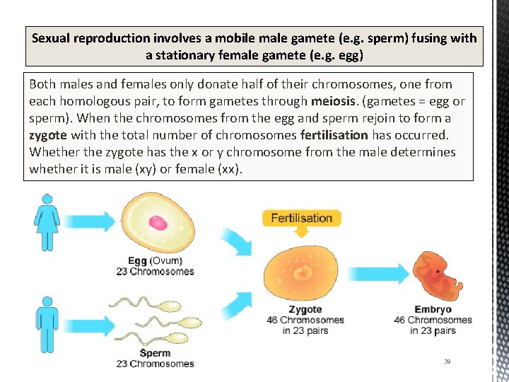Sexual reproduction involves a mobile male gamete (e. g. sperm) fusing with a stationary