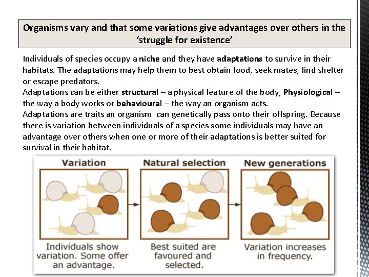 Organisms vary and that some variations give advantages over others in the ‘struggle for