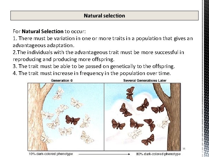 Natural selection For Natural Selection to occur: 1. There must be variation in one