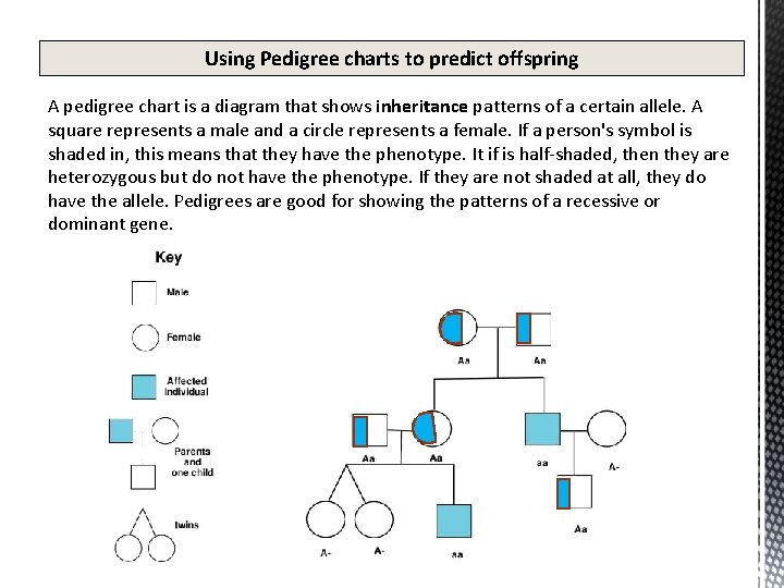 Using Pedigree charts to predict offspring A pedigree chart is a diagram that shows