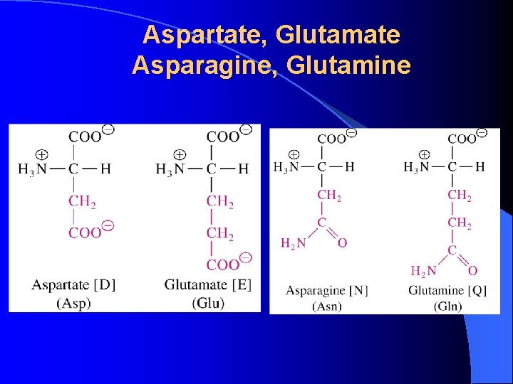 Aspartate, Glutamate Asparagine, Glutamine Aspartate, Glutamate Asparagine, Glutamine
