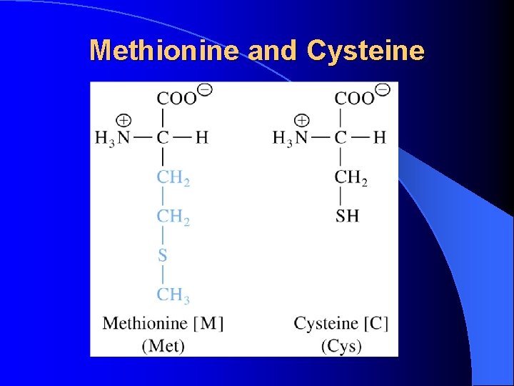 Methionine and Cysteine Methionine and Cysteine