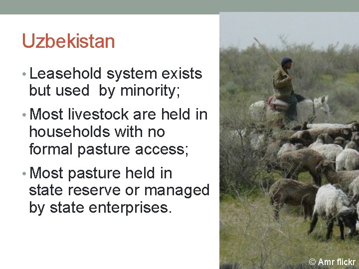 Uzbekistan • Leasehold system exists but used by minority; • Most livestock are held