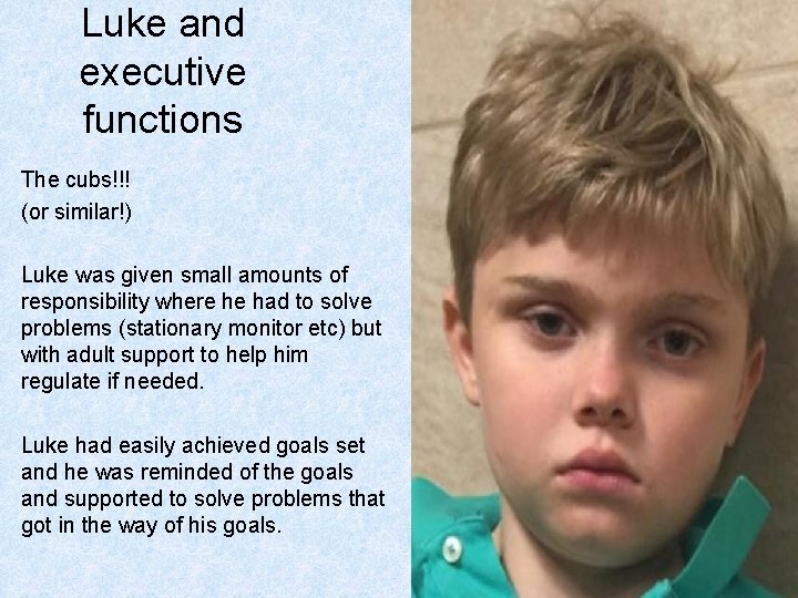 Luke and executive functions The cubs!!! (or similar!) Luke was given small amounts of