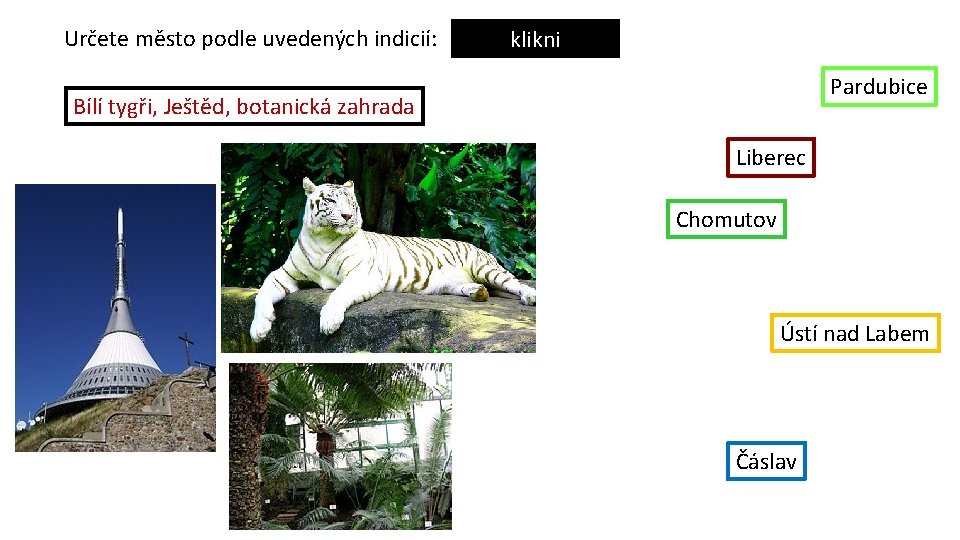 Určete město podle uvedených indicií: klikni Pardubice Bílí tygři, Ještěd, botanická zahrada Liberec Chomutov