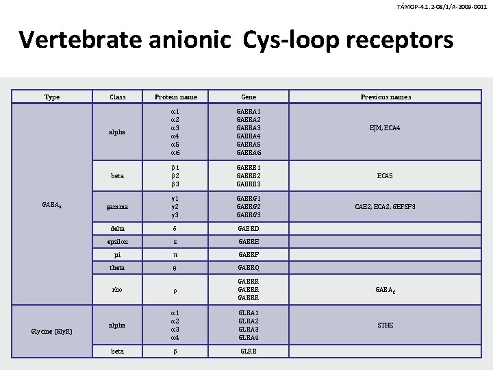 TÁMOP-4. 1. 2 -08/1/A-2009 -0011 Vertebrate anionic Cys-loop receptors Type GABAA Glycine (Gly. R)