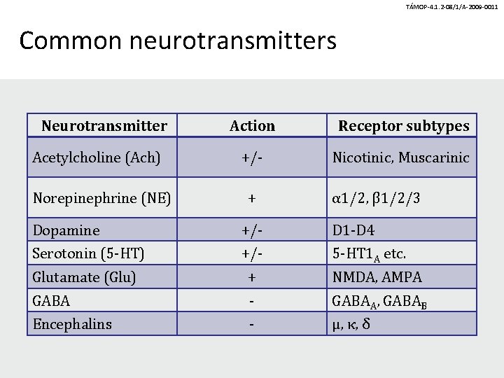 TÁMOP-4. 1. 2 -08/1/A-2009 -0011 Common neurotransmitters Neurotransmitter Acetylcholine (Ach) Norepinephrine (NE) Action Receptor