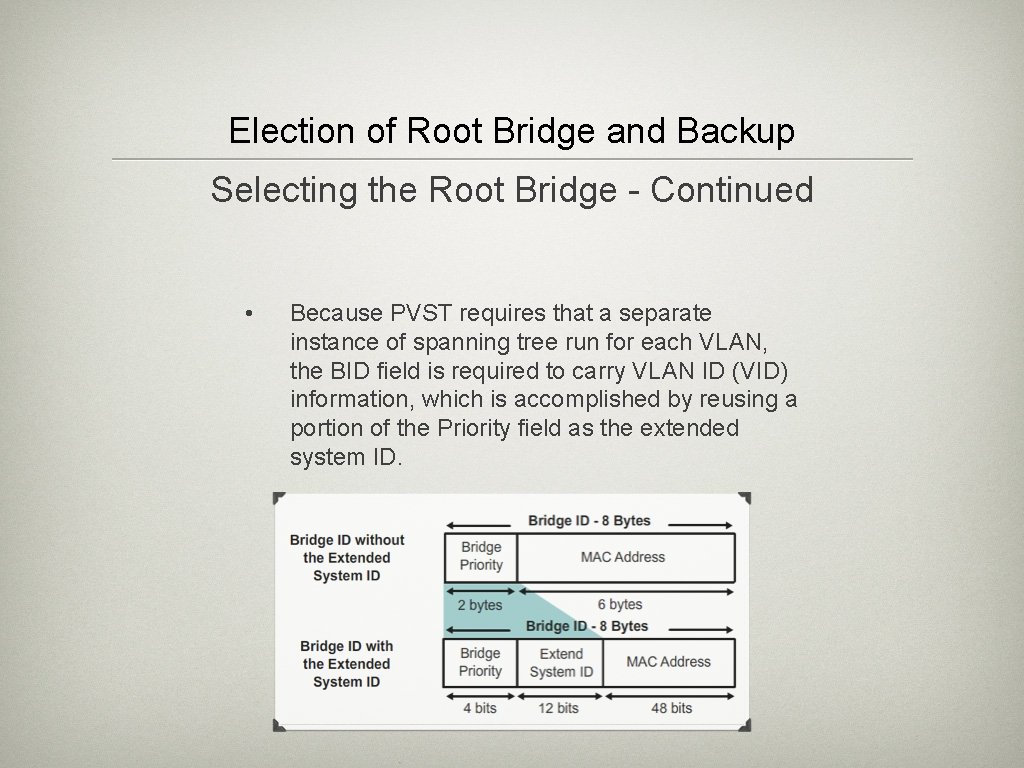 Election of Root Bridge and Backup Selecting the Root Bridge - Continued • Because