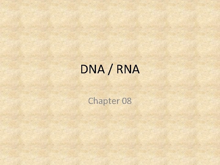 DNA / RNA Chapter 08 