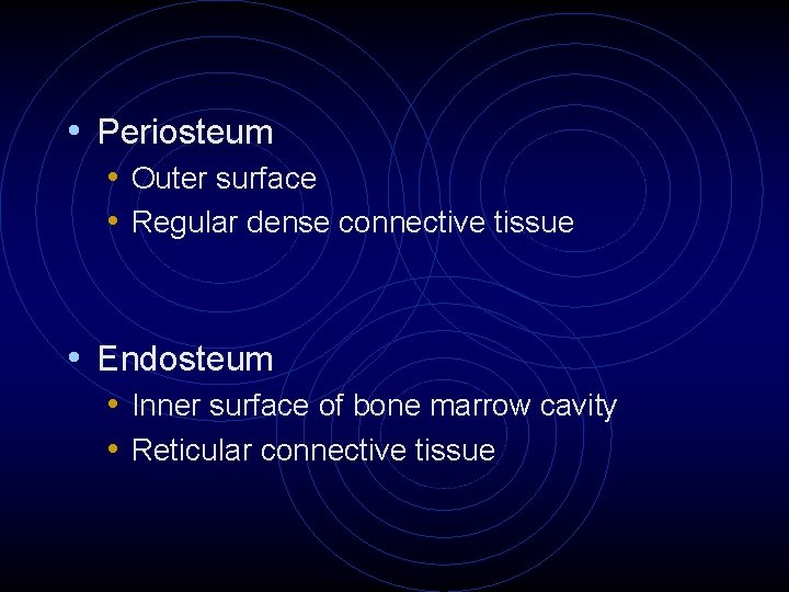  • Periosteum • Outer surface • Regular dense connective tissue • Endosteum •