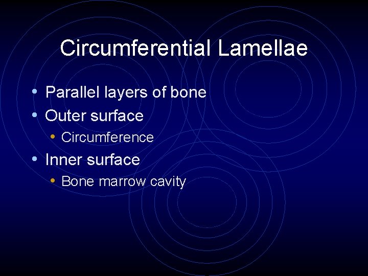 Circumferential Lamellae • Parallel layers of bone • Outer surface • Circumference • Inner