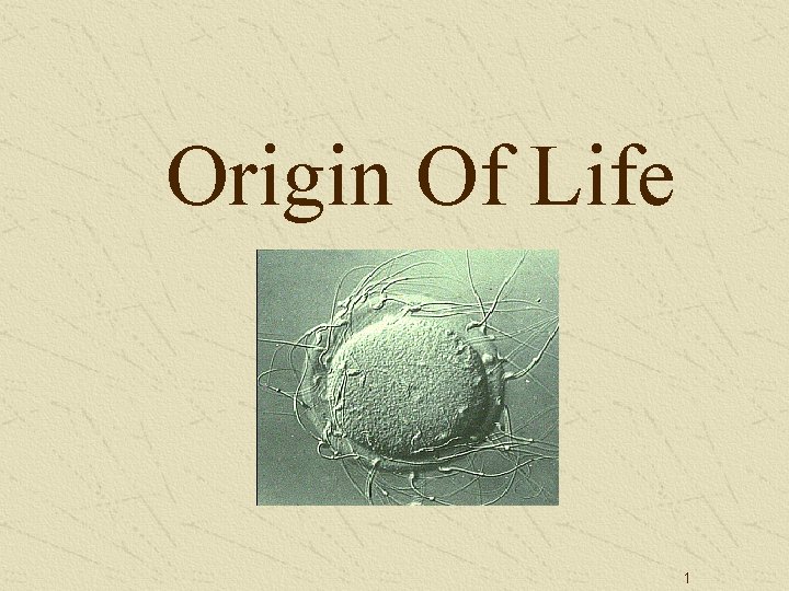 Origin Of Life 1 