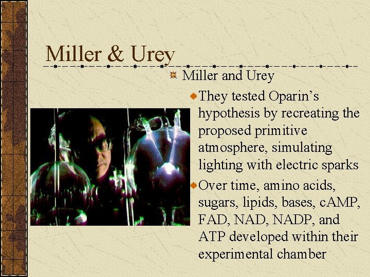 Miller & Urey Miller and Urey They tested Oparin’s hypothesis by recreating the proposed