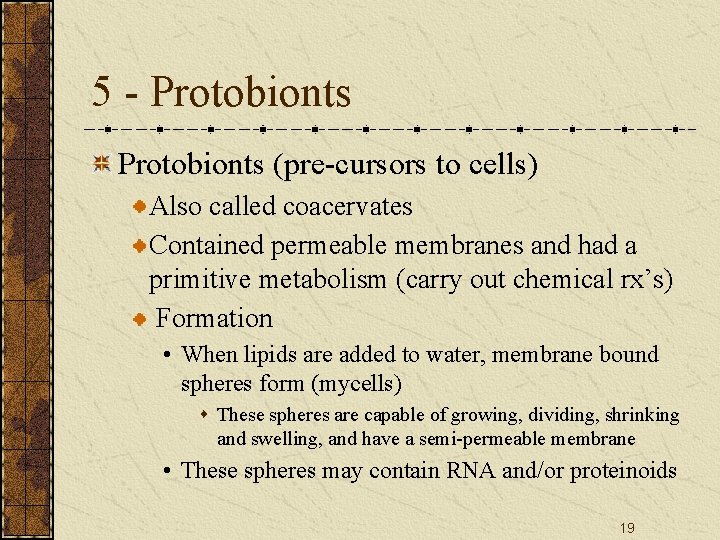 5 - Protobionts (pre-cursors to cells) Also called coacervates Contained permeable membranes and had