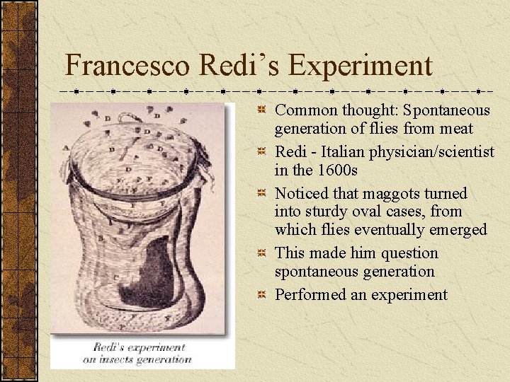Francesco Redi’s Experiment Common thought: Spontaneous generation of flies from meat Redi - Italian