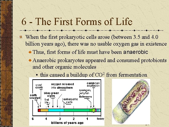 6 - The First Forms of Life When the first prokaryotic cells arose (between