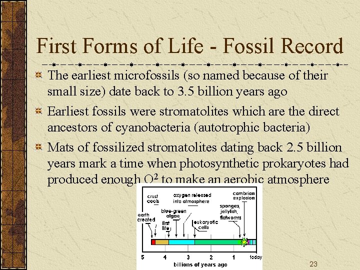 First Forms of Life - Fossil Record The earliest microfossils (so named because of